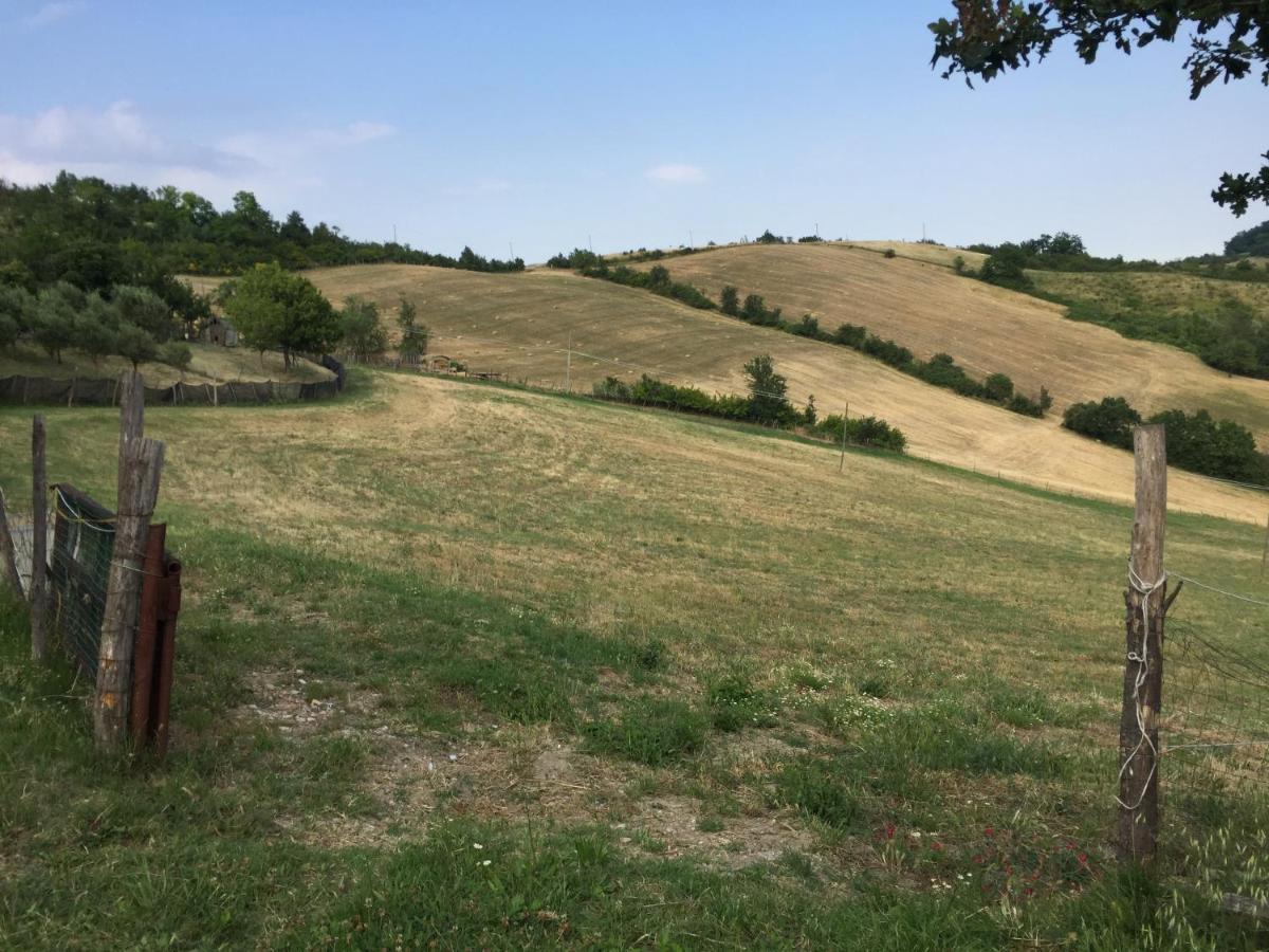 La Palazzina Di Ciagnano Villa Ozzano dell'Emilia Exterior foto